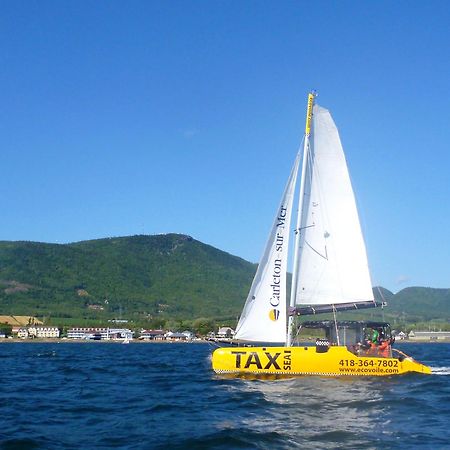 Est Eco-Cabines Nouvelle Екстер'єр фото
